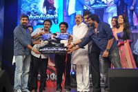 Businessman Movie Audio Launch